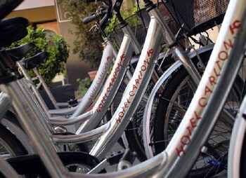 ferrara