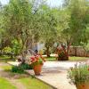 rida village ksamil island