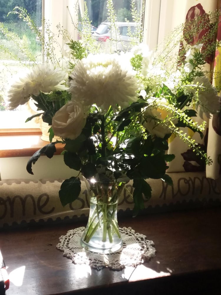 windylands bed and breakfast