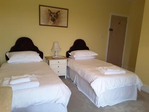 windylands bed and breakfast