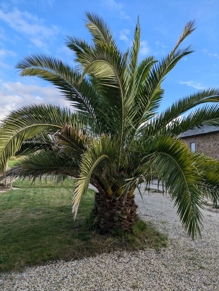 domaine de launay blot proche mt st michel