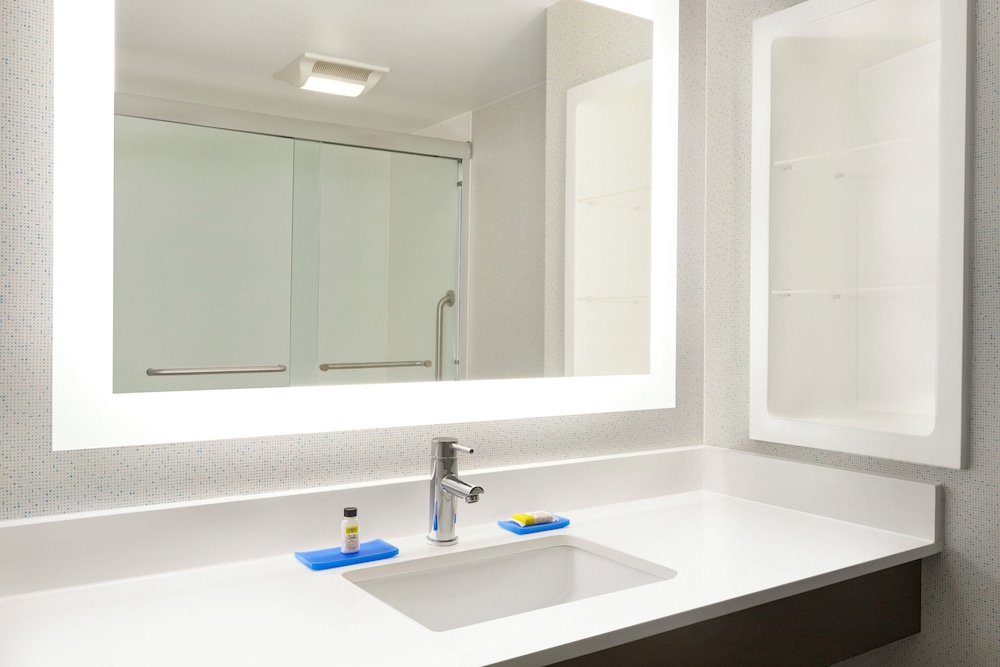 holiday inn express and suites ft myers east the forum