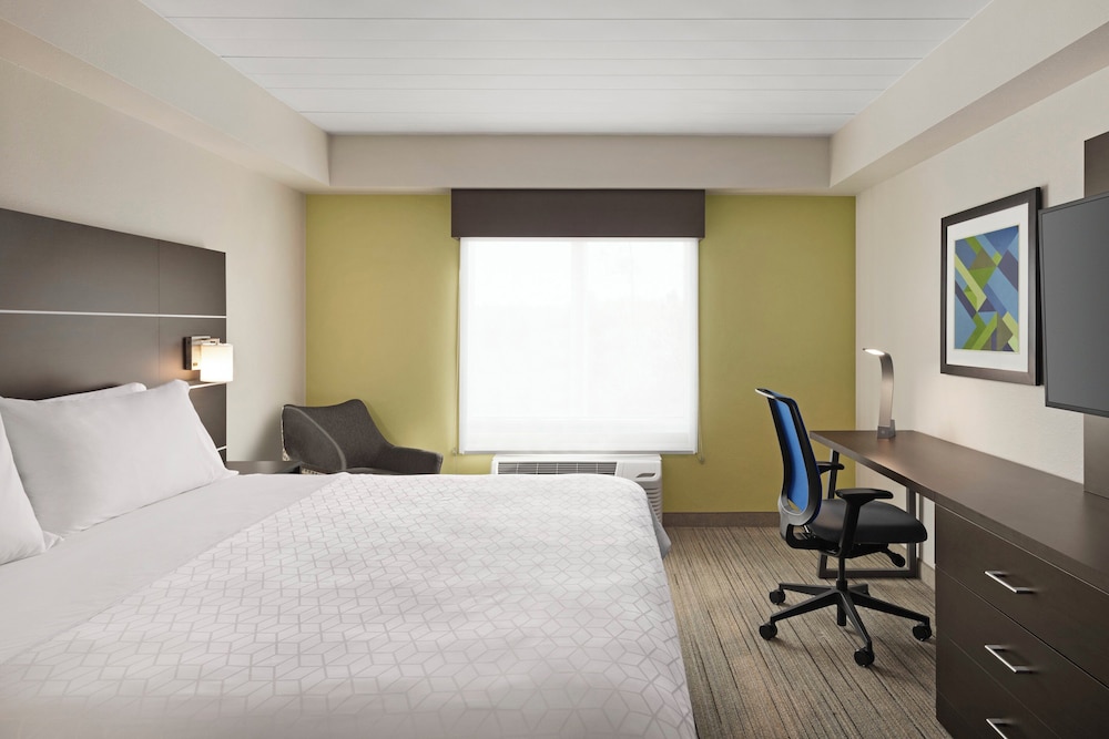 holiday inn express and suites ft myers east the forum