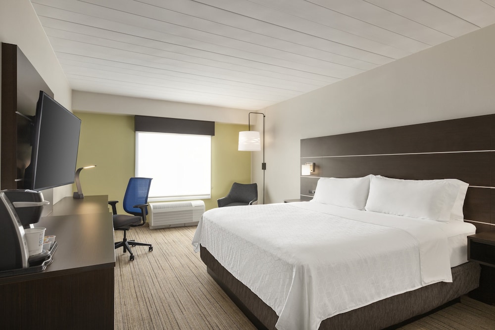 holiday inn express and suites ft myers east the forum