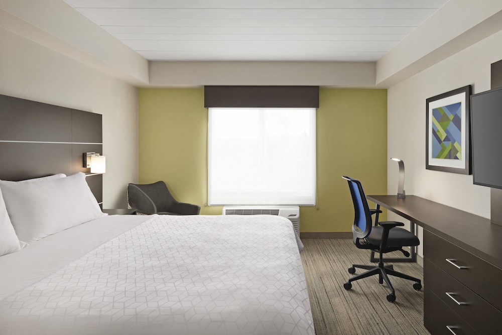 holiday inn express and suites ft myers east the forum