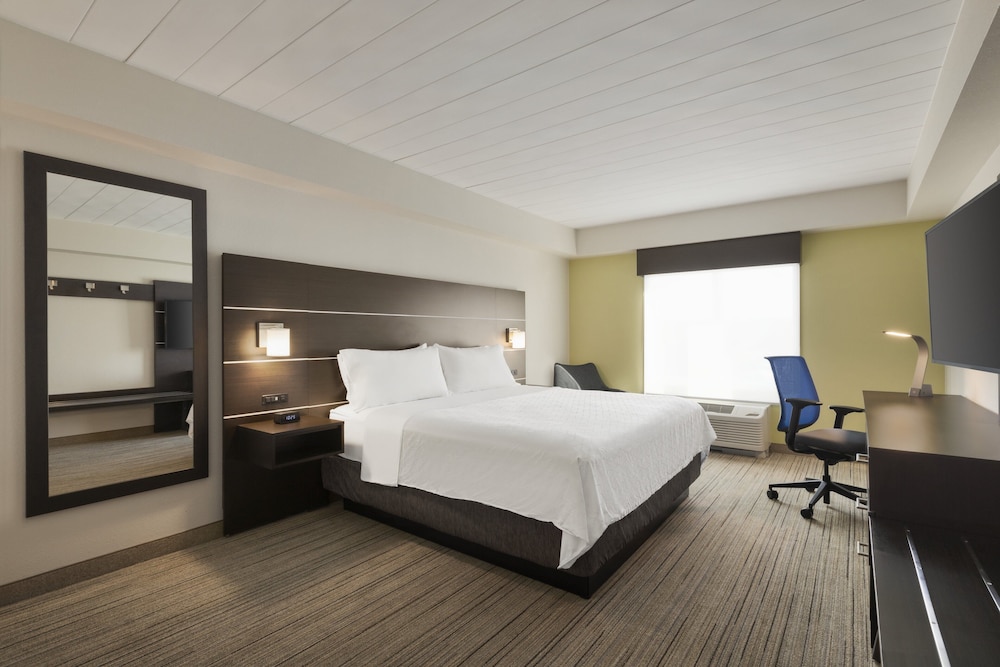 holiday inn express and suites ft myers east the forum