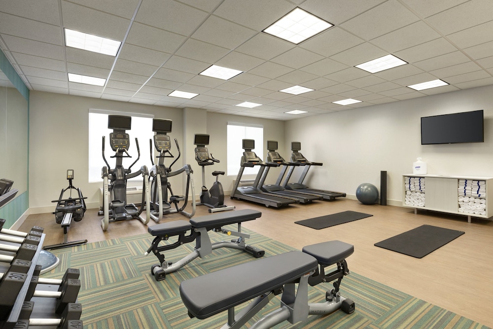holiday inn express and suites ft myers east the forum