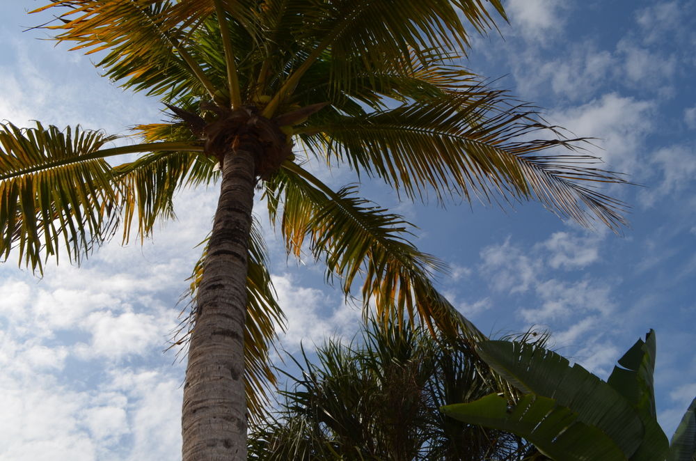fort myers beach