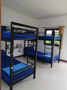 sea breeze backpacker