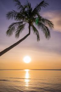 samui paradise chaweng beach resort and spa