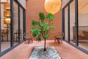 hospitalet de llobregat