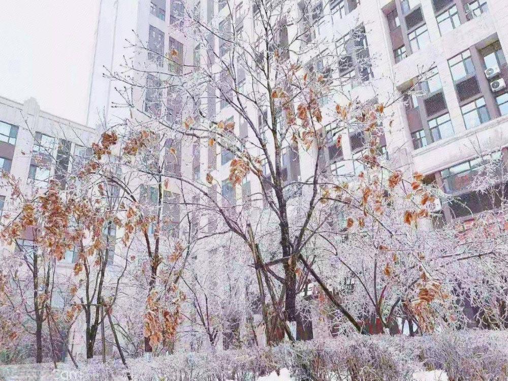ji hotel changchun yiqi west station
