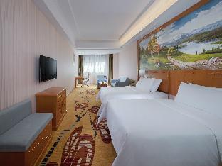 vienna hotel hainan lingshui center