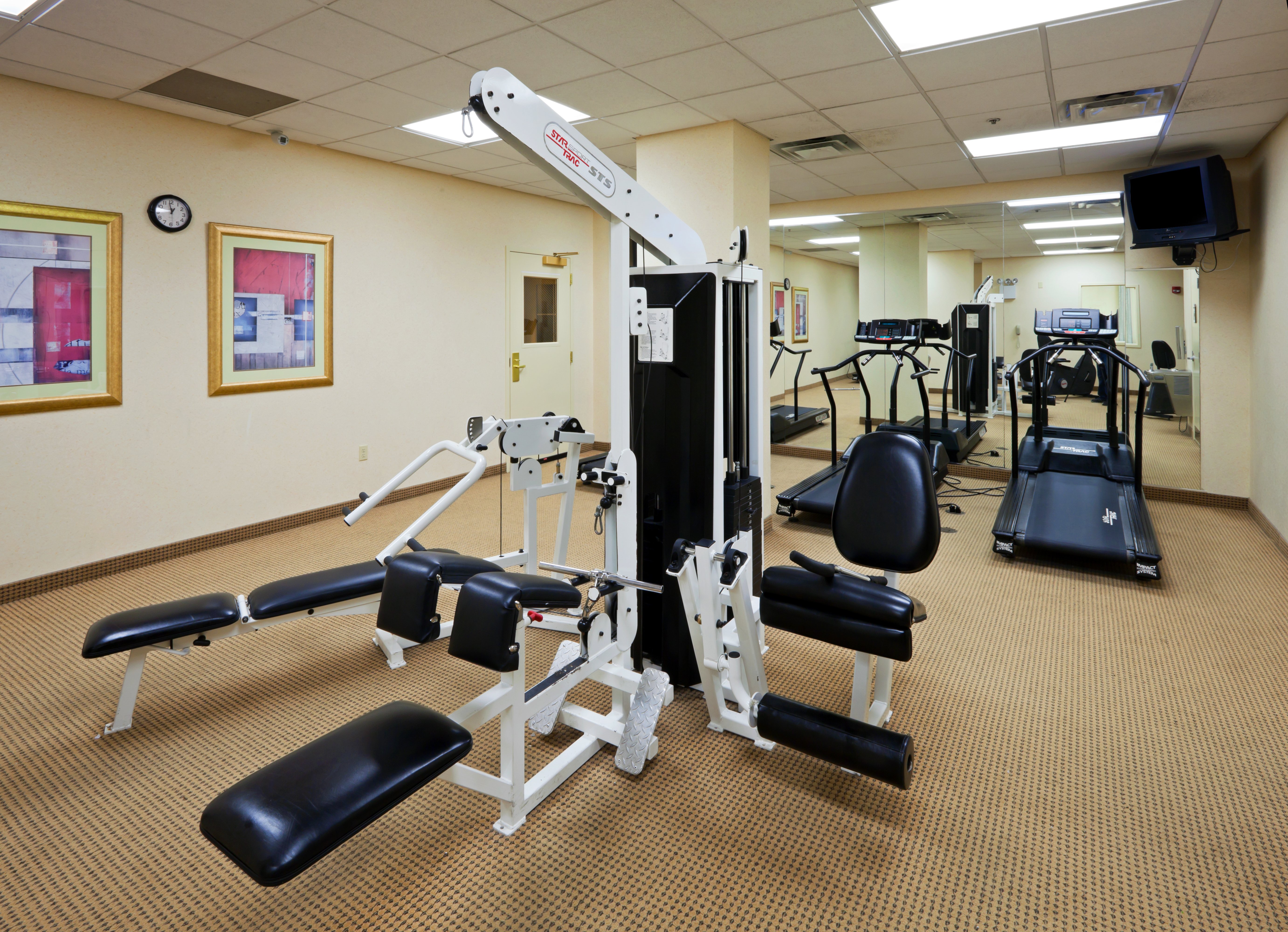 holiday inn chantilly dulles expo center by ihg