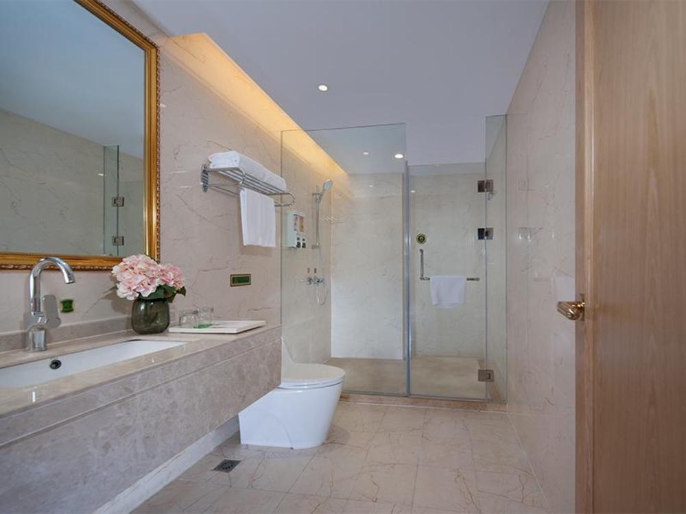 vienna hotel shijiazhuang zhengding ancient town