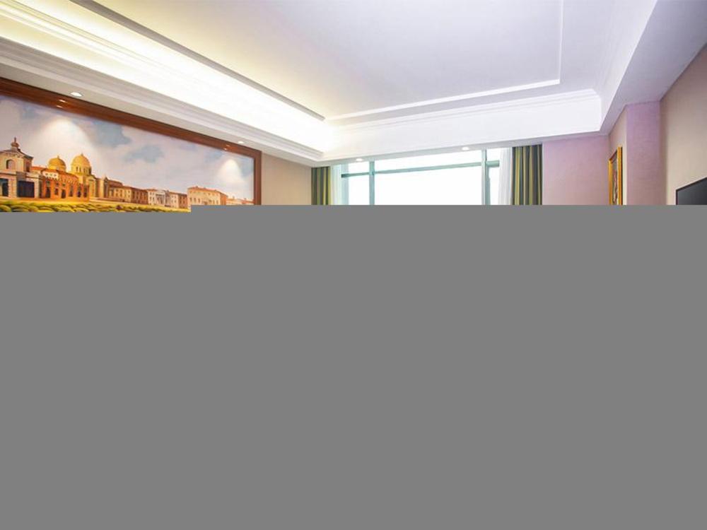vienna hotel longmen