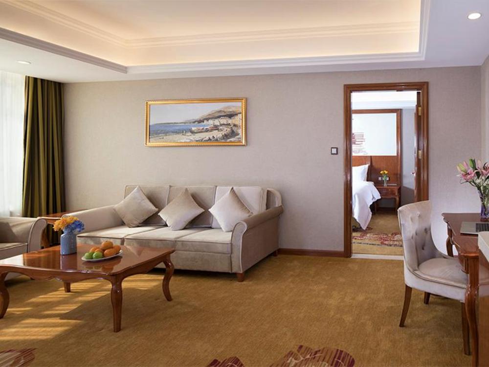 vienna hotel longmen