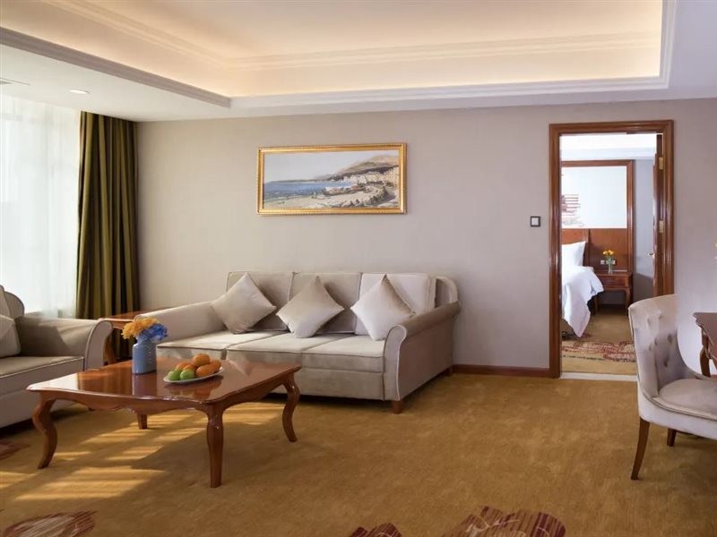 vienna hotel longmen