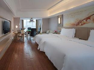 vienna international hotel shaoyang dahan pedestrian street