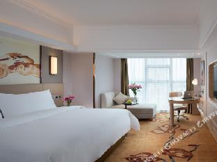 vienna international hotel shaoyang dahan pedestrian street
