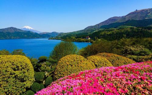 trip7 hakone sengokuhara onsen hotel