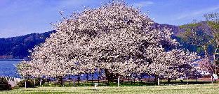 trip7 hakone sengokuhara onsen hotel