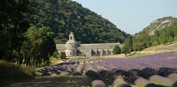 hotel residence lou paradou
