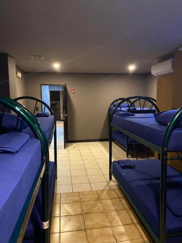 alajuela backpackers airport hostel