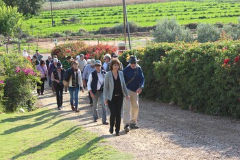 oudtshoorn