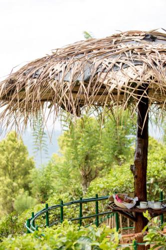 mount havana luxury boutique villa