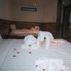 amacon hotel and coffee