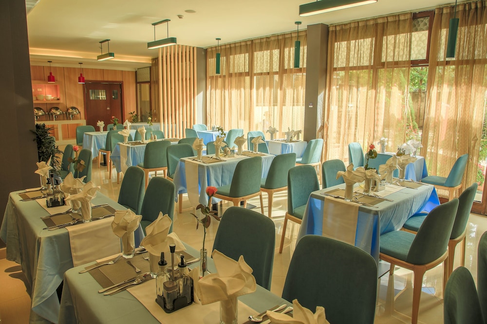 ivy hotel bishoftu