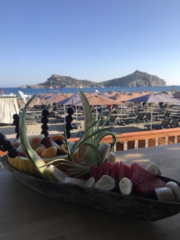 dolphin park hotel