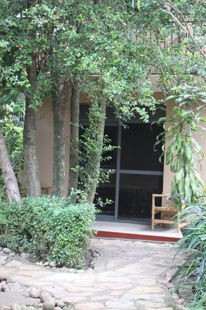 montane safaris hotel