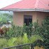 montane safaris hotel