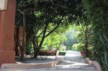 montane safaris hotel