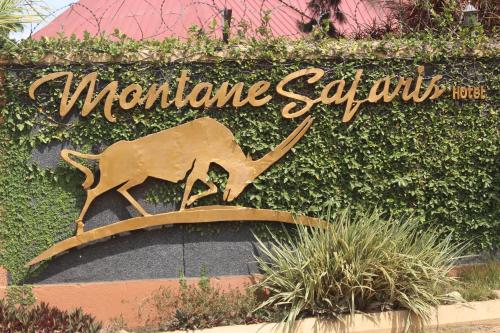 montane safaris hotel