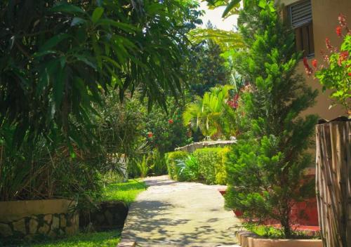 montane safaris hotel