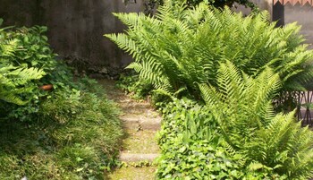 locanda dei mai intees