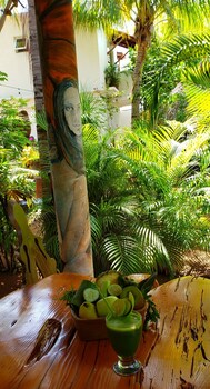 villa mozart y macondo