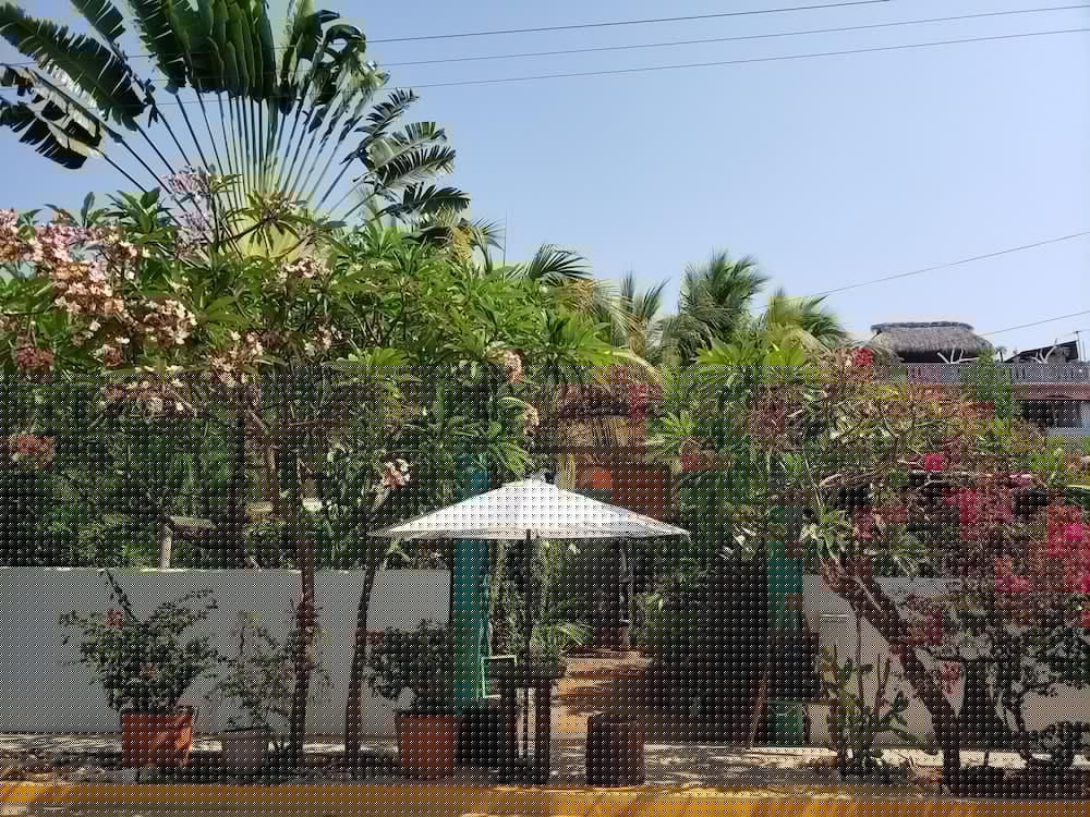 puerto escondido