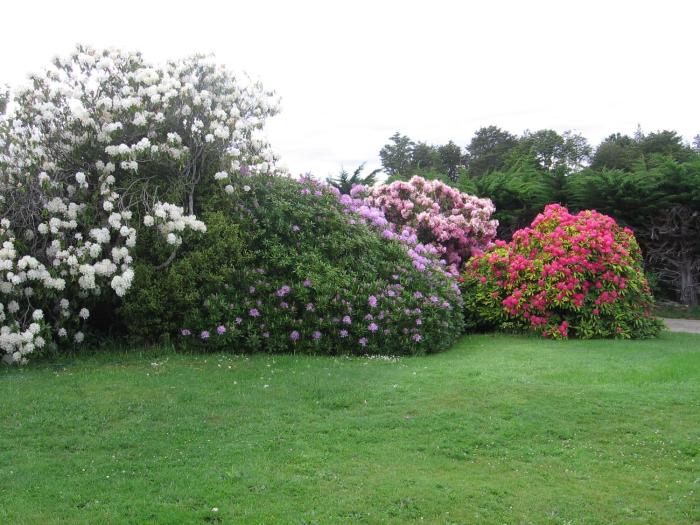 murrells grand view house adults only