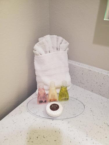 palace inn blue tomball parkway