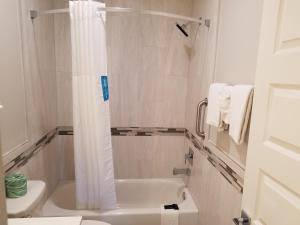 palace inn blue tomball parkway