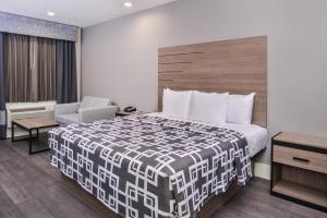 palace inn blue tomball parkway