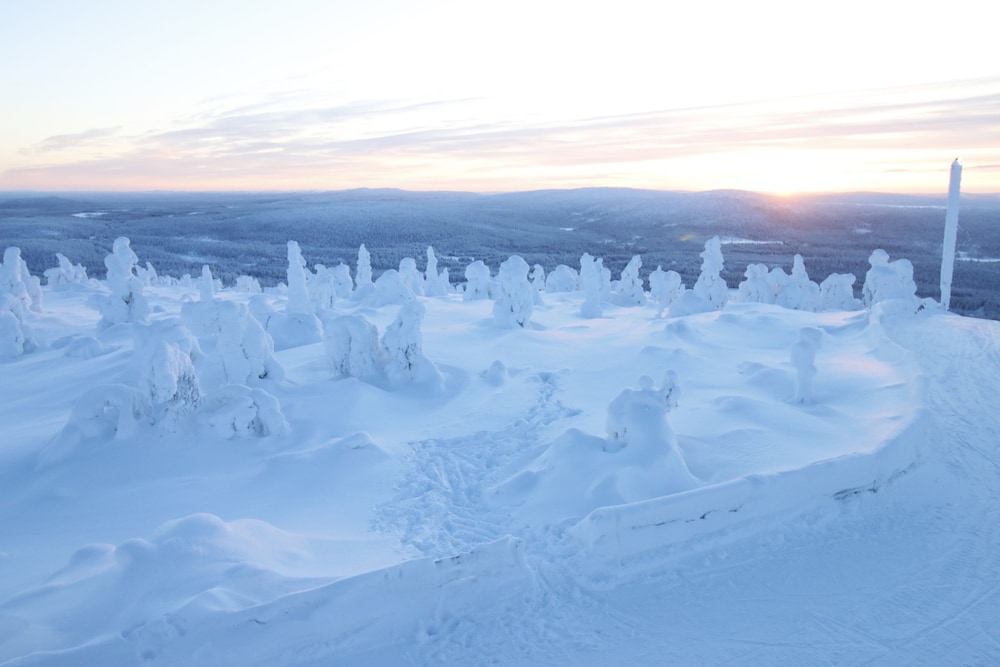 salla