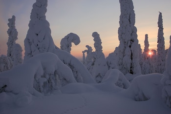 salla