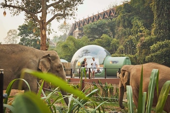 anantara golden triangle elephant camp and resort