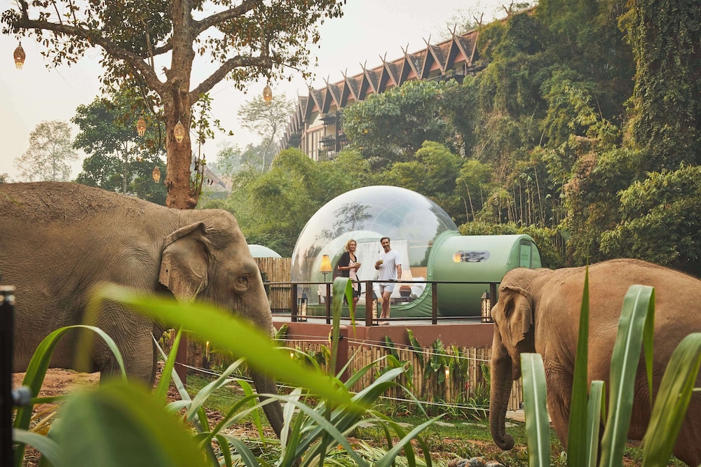 anantara golden triangle elephant camp and resort