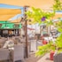 windmills hotel apartments
